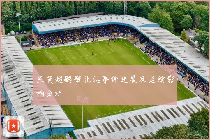 王英超鹤壁北站事件进展及后续影响分析