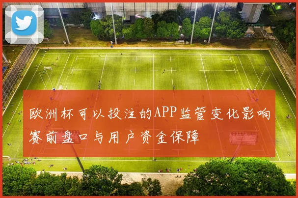 欧洲杯可以投注的APP监管变化影响赛前盘口与用户资金保障