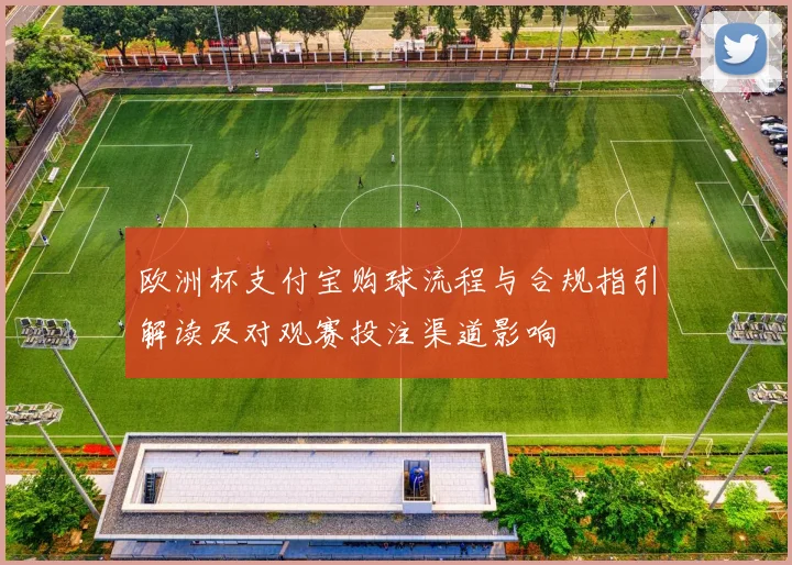 欧洲杯支付宝购球流程与合规指引解读及对观赛投注渠道影响