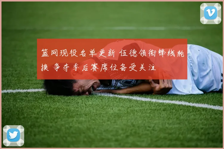 篮网现役名单更新 伍德领衔锋线轮换 争夺季后赛席位备受关注
