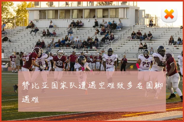 赞比亚国家队遭遇空难致多名国脚遇难