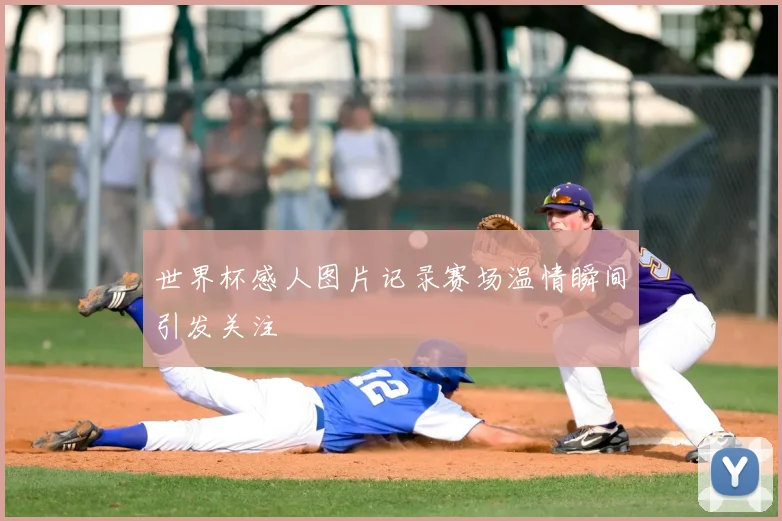 世界杯感人图片记录赛场温情瞬间引发关注