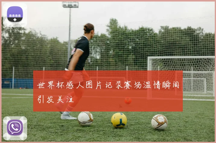 世界杯感人图片记录赛场温情瞬间引发关注