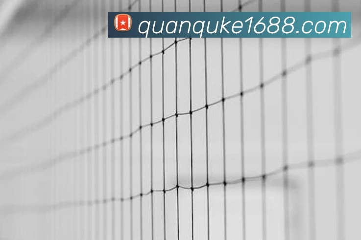 葡萄牙国家队5号球员身份确认现役主力中卫担纲重任